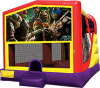 Ninja Turtles Combo 4 in 1Waterslide