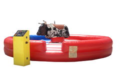Mechanical Bull