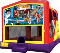 Sports Combo 4 in 1 Waterslide