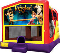 Tangled Combo 4 in 1 Waterslide
