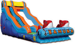 17' Big Kahuna Waterslide